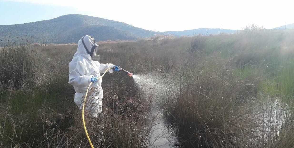 ΚΟΥΝΟΥΠΙΑ: Σε εξέλιξη η εφαρμογή ψεκασμών από την Περιφέρεια Αττικής στο πλαίσιο του προγράμματος καταπολέμησης