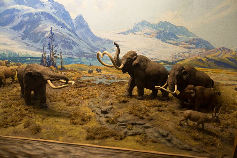 Σκηνές κυνηγιού στις οποίες απεικονίζονται τρία μαμούθ ανακάλυψαν αρχαιολόγοι…