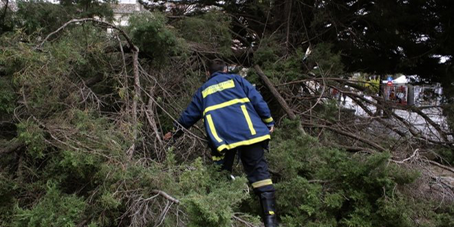 Ο “Ξενοφών” χτυπά την Αττική: Πτώσεις δέντρων λόγω ανέμων – Έκλεισε η λεωφόρος Αλεξάνδρας