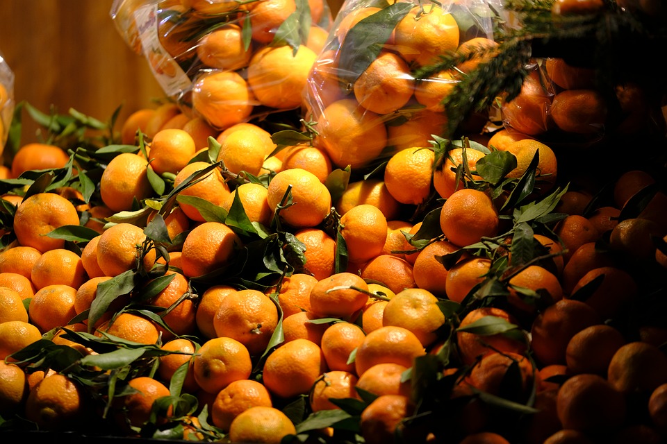 Αποζημιώσεις 0,22 € το κιλό για τους παραγωγούς πορτοκαλιών που επλήγησαν από τον παγετό