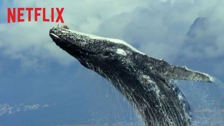 Το Netflix κυκλοφορεί τρέιλερ μεγάλης διάρκειας για τη σειρά ντοκιμαντέρ “Ο Πλανήτης μας”