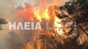 Ηλεία: Μεγάλη πυρκαγιά στο προστατευόμενο δάσος της Στροφυλιάς