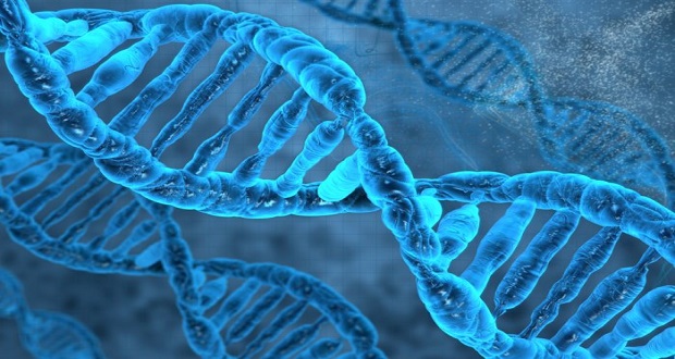 Η προδιάθεση για την εμφάνιση ασθενειών κρύβεται στην οργάνωση του DNA μας;