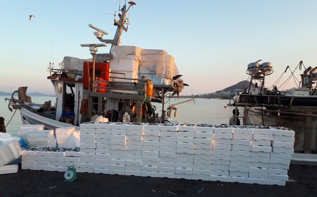 Αλιευτικός έλεγχος και κατάσχεση 2.288 κιλών αλιευμάτων στη Νάξο