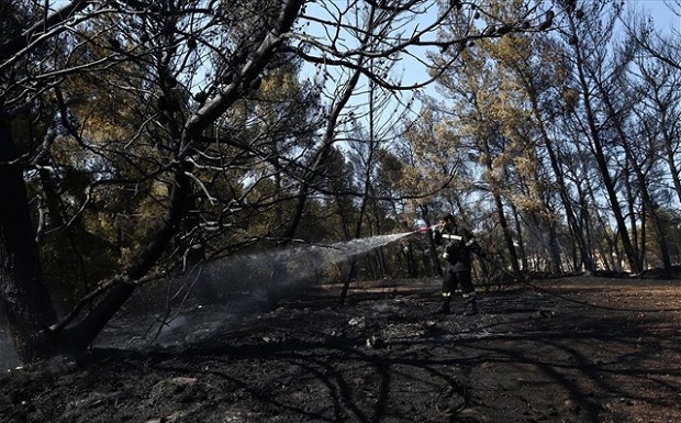 Πυρκαγιά στη Ραφήνα – Κλειστή η Λ. Μαραθώνος