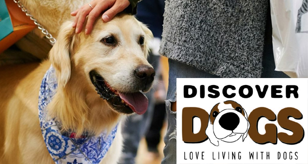 Το DISCOVER DOGS FESTIVAL επιστρέφει στην Αθήνα