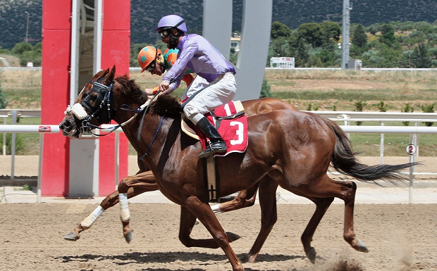 Markopoulo Park: Μοναδικό θέαμα με εντυπωσιακά photo finish