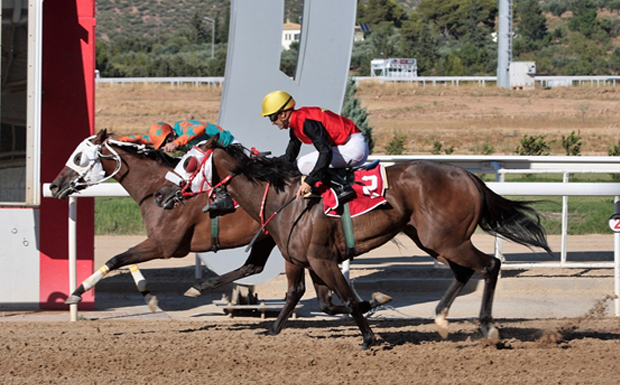 Markopoulo Park: Επτά κούρσες με 48 ίππους που υπόσχονται δυνατές συγκινήσεις