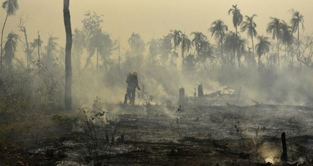ΚΚΕ: Η αποψίλωση του Αμαζονίου φέρει και τη σφραγίδα ευρωενωσιακών μονοπωλίων