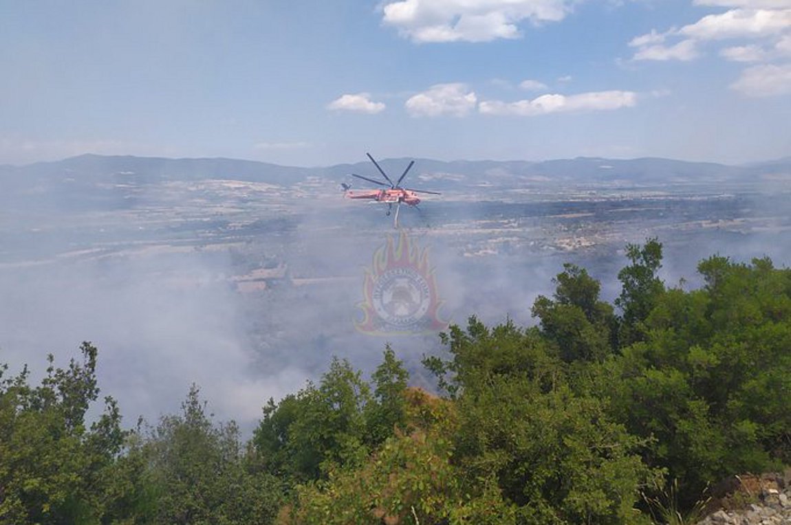 Εμπρησμό καταγγέλλουν κάτοικοι στην Τιθορέα – Η φωτιά εκδηλώθηκε ταυτόχρονα σε 5 σημεία