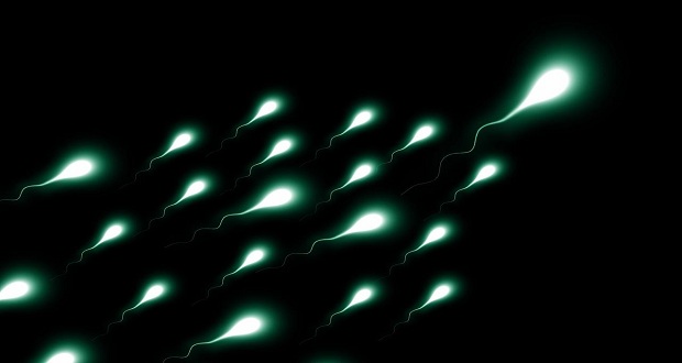 Ιάπωνες επιστήμονες κατάφεραν για πρώτη φορά να διαχωρίσουν εύκολα τα σπερματοζωάρια σε «αρσενικά» και «θηλυκά»…