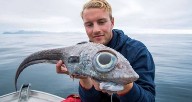 Ένα αλλόκοτο «εξωγήινο» ψάρι έπιασε ένας νεαρός Νορβηγός