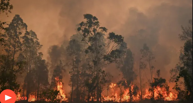 Αυστραλία: Τραγικές ώρες – «Εκτός συμβατικής κλίμακας» η φωτιά! (video)