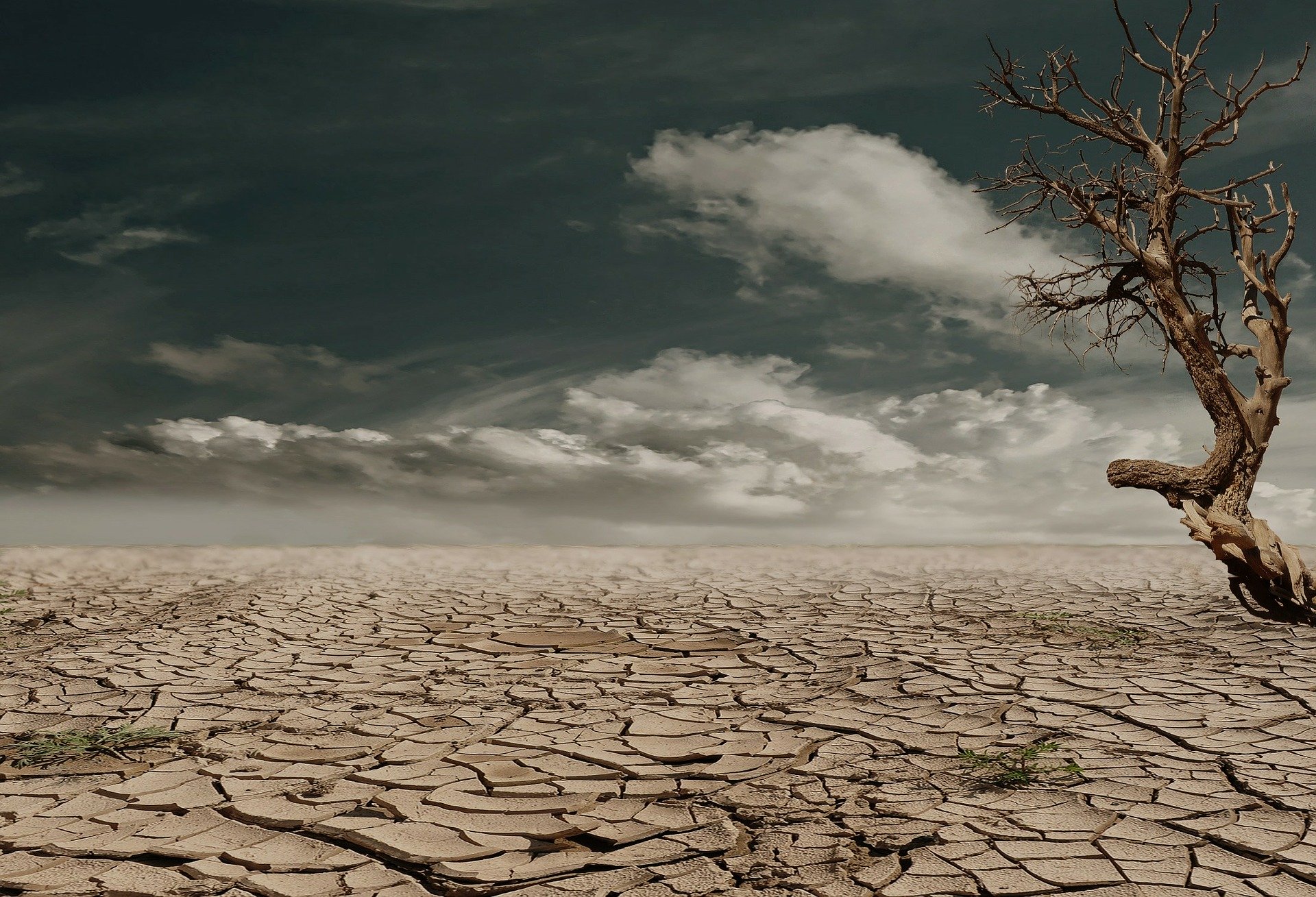 Η Ελλάδα αντιμετωπίζει τον κίνδυνο ερημοποίησης του 40% της έκτασης που κατέχει σήμερα…