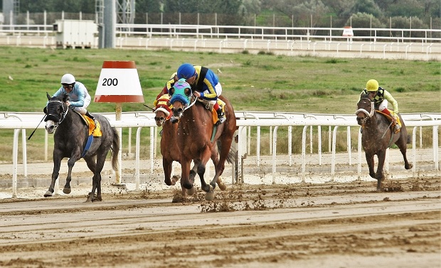 Markopoulo Park: Σημαντικά κέρδη για 15 νικητές του ΣΚΟΡ 6 στην πρώτη ιπποδρομιακή συγκέντρωση της χρονιάς