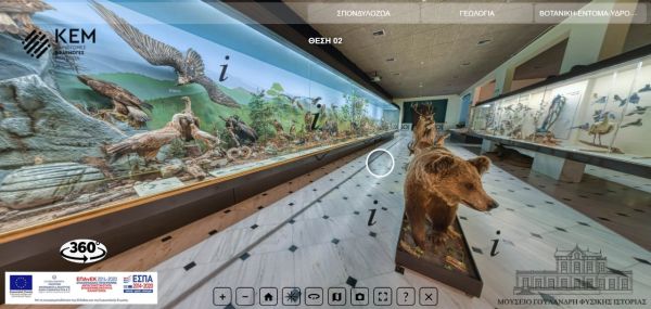 Ολόκληρο το Μουσείο Γουλανδρή Φυσικής Ιστορίας στο σπίτι σας! (virtual tour)