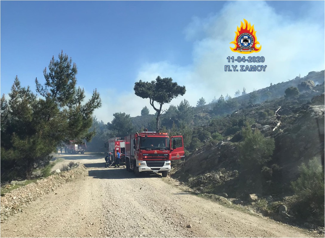 Πολύ υψηλός κίνδυνος πυρκαγιάς (κατηγορία κινδύνου 4) για την Τετάρτη 12 Ιουνίου 2024 – Τι λέει η Γενική Γραμματεία Πολιτικής Προστασίας