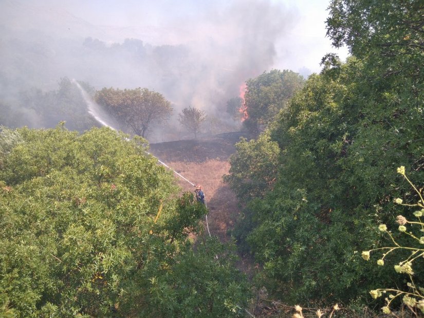 Μεγάλη πυρκαγιά στη Χίο: Καίει έκταση με ελιές κοντά στη ΒΙΑΛ (video)