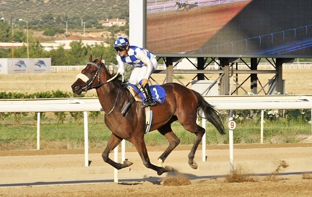 Markopoulo Park: Τρία τζακ ποτ σε ΣΚΟΡ 6, ΣΚΟΡ 4 και Σύνθετο Δίδυμο – Συναρπαστικό φίνις στη 2η ιπποδρομία  