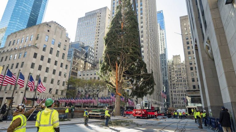 Νέα Υόρκη: Το Χριστουγεννιάτικο δέντρο της πόλης… απαντάει (φωτο)