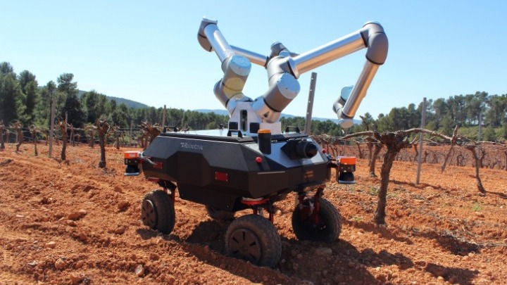 «BACCHUS»: Τον Ιούλιο «πατάει» σε αμπελώνα, το δίχειρο ρομπότ τρύγου που αναπτύσσεται στο πλαίσιο ερευνητικού έργου