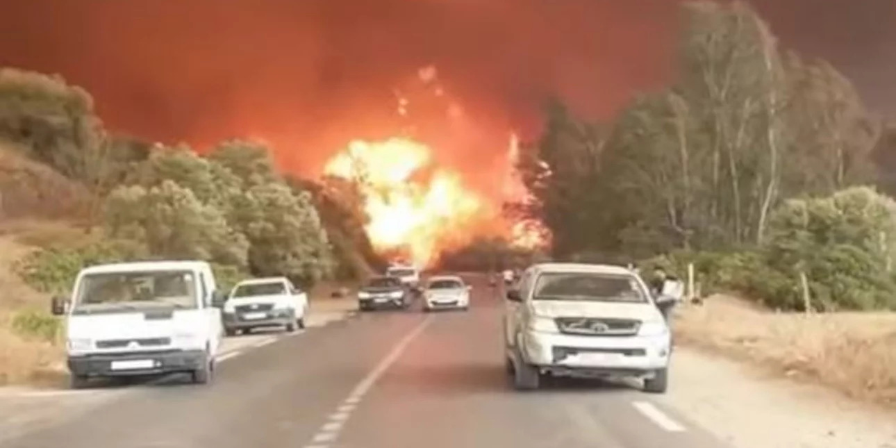 Αλγερία: Τουλάχιστον 65 άνθρωποι έχουν χάσει τη ζωή τους στις πυρκαγιές που κατακαίνε τον βορρά (video)