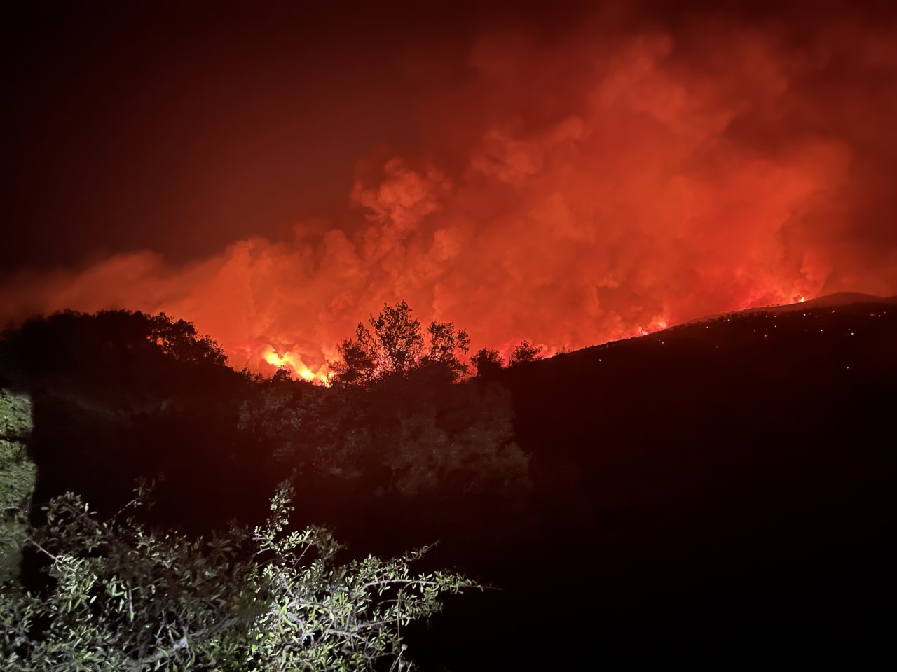 Δύσκολη παραμένει η κατάσταση με τη φωτιά στη Ρόδο – Σε ύφεση είναι τα μέτωπα σε Λακωνία και Δυτική Αττική