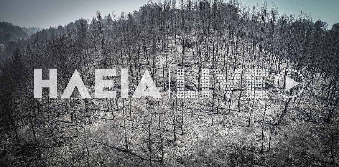 Βίντεο με εικόνες απόλυτης καταστροφής καταγράφονται στην Ηλεία