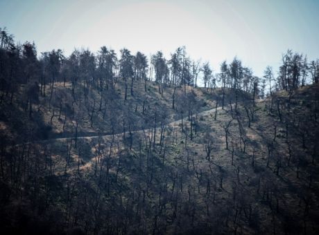 Στις 17.00 η ανακοίνωση των μέτρων στήριξης για τους πυρόπληκτους