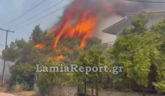 Καίγονται σπίτια στο Θεολόγο Φθιώτιδας – Συγκλονιστικές εικόνες