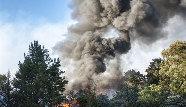 Οι φωτιές στα δάση μας είναι διαχρονικό έγκλημα