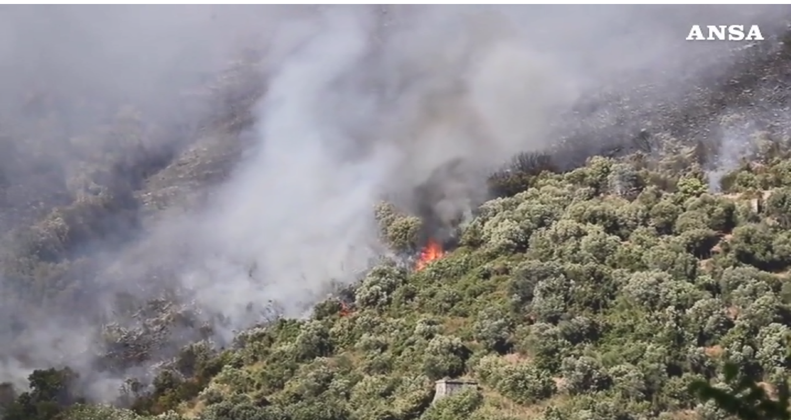 Ιταλία: Στις φλόγες ο δρυμός του Monte Catillo στη Ρώμη – Εκκενώθηκαν σπίτια στο Tivoli