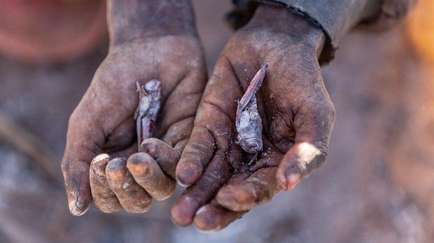 Η κλιματική κρίση είναι πλέον κοντά μας…