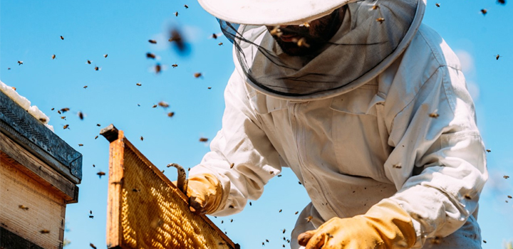 Ο Όμιλος ΗΡΑΚΛΗΣ στηρίζει τη βιώσιμη ανάκαμψη του νευραλγικού κλάδου της μελισσοκομίας στη Βόρεια Εύβοια