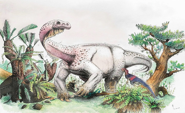 Συνέβησαν σε βάθος χρόνου: Νέο είδος πολύ σπάνιου δεινόσαυρου