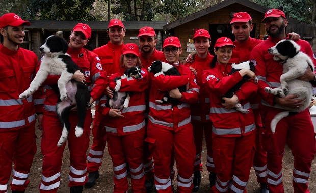Παγκόσμια Ημέρα Αδέσποτων Ζώων: Ο Ελληνικός Ερυθρός Σταυρός ενίσχυσε τα αδέσποτα που φιλοξενούνται στον Φιλοζωικό Σύλλογο Νέας Φιλαδέλφειας