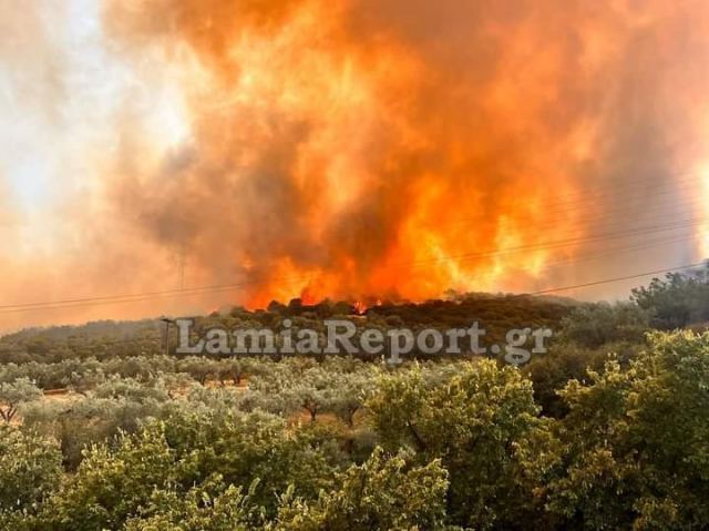 Φωτιά στη Λαμία: Εκκενώνεται το βόρειο τμήμα της πόλης – Δύο νεκροί από τη φωτιά στη Μαγνησία