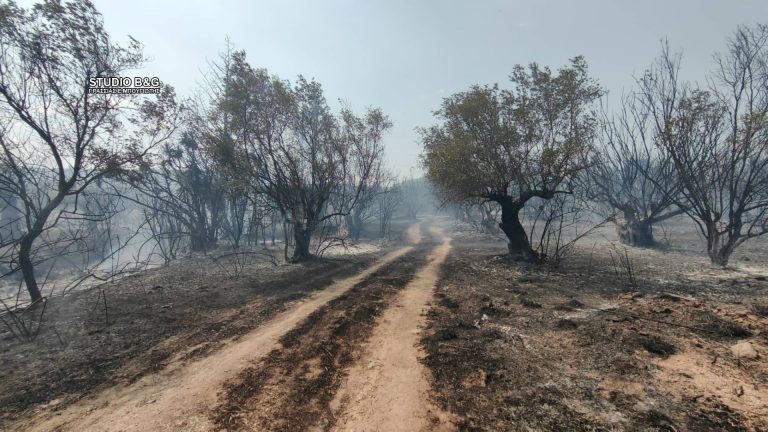 ΠΥΡΚΑΓΙΑ Έβρος: Ανακοινώθηκαν τα μέτρα στήριξης για τις πυρόπληκτες περιοχές