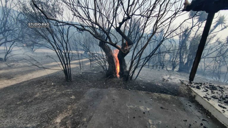 Meteo: 52% λιγότερες μεγάλες πυρκαγιές, 195% αύξηση των καμένων εκτάσεων φέτος στην Ελλάδα