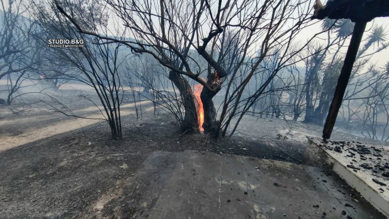 Έως 2,8 δισ. ευρώ το κόστος των δασικών πυρκαγιών