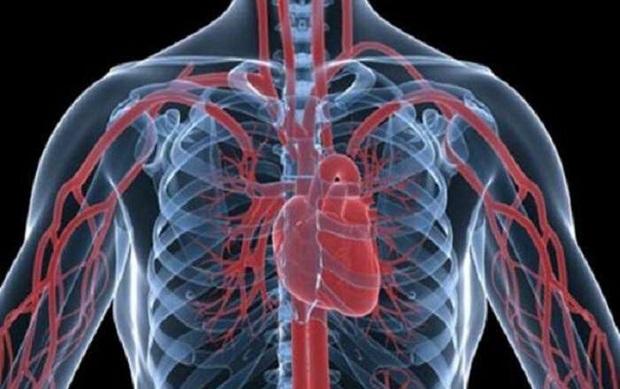 Τα καρδιαγγειακά νοσήματα, η κυριότερη αιτία θανάτου στην Ελλάδα το 2021