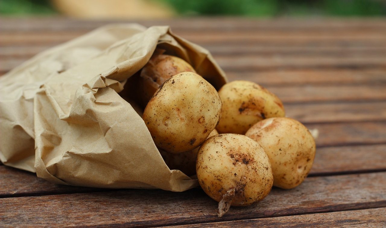 Παιχνίδι με την πατάτα για να αυξήσουν την τιμή της – Πιέσεις… προκειμένου να μειωθεί η εγχώρια παραγωγή της!