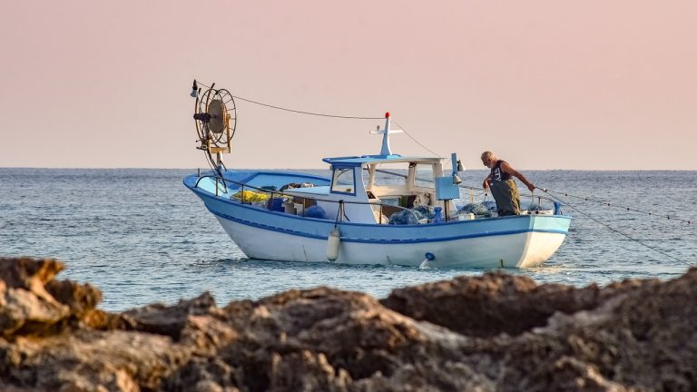 Σάκης Αρναούτογλου προς Κομισιόν: “Επείγουσα δράση για την καταπολέμηση του Λαγοκέφαλου στη Μεσόγειο – Μείζονα απειλή για την αλιεία και τη θαλάσσια βιοποικιλότητα”